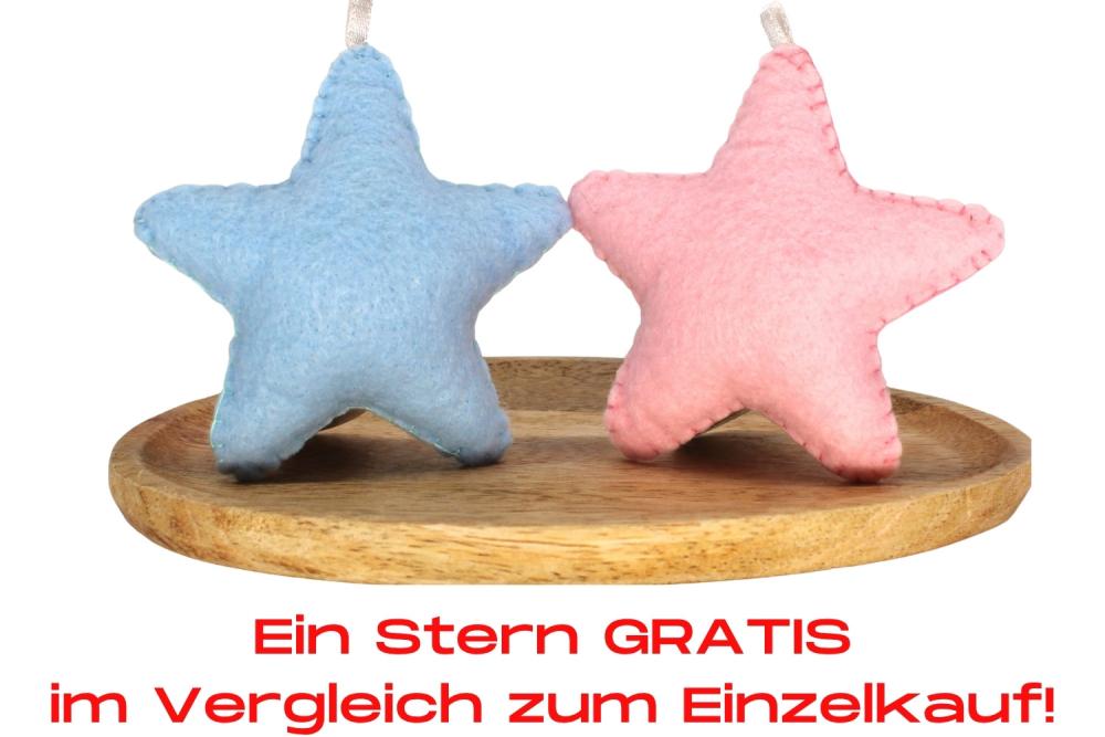 Bundle | Filzanhänger Stern Rosa/Blau