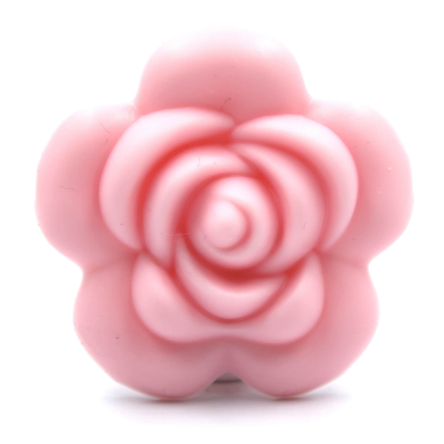 Rose "Candy Pink"
