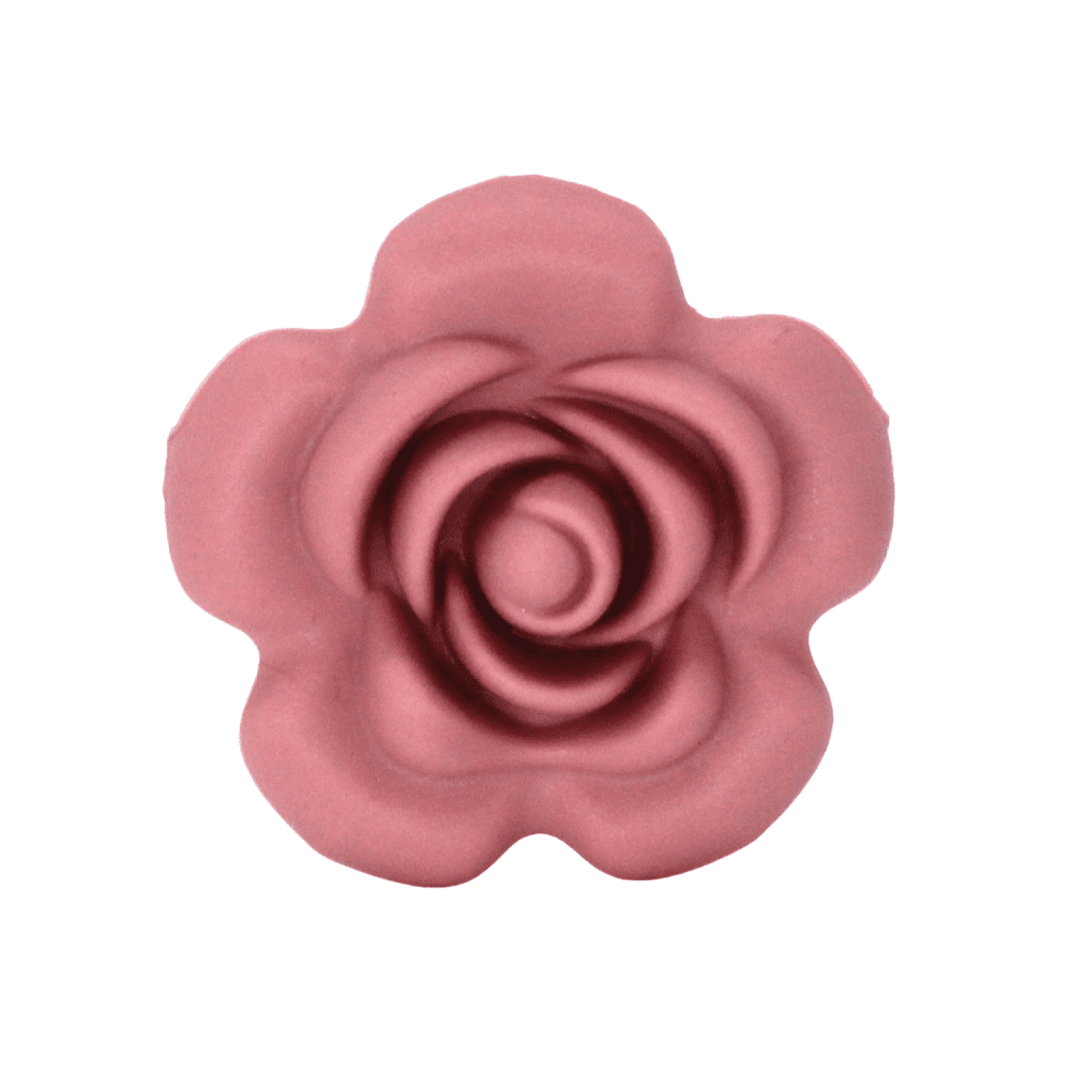 Rose "Blush"